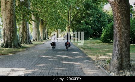 Seniorenpaare fahren mit dem Fahrrad auf der schönen von Bäumen gesäumten Promenade des Rheins in der beliebten Stadt Koblenz, Deutschland. Stockfoto