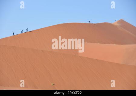 deadvlei Landschaft im namib Naukflut Nationalpark Stockfoto