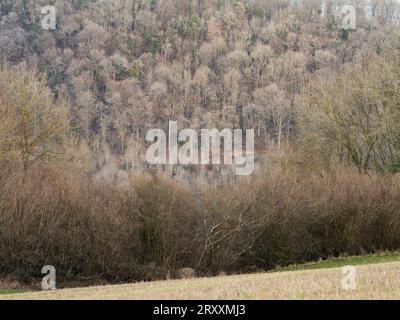 Blick über South Shropshire in Richtung Ludlow von View Edge, Onibury, Shropshire, Großbritannien Stockfoto