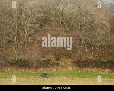 Blick über South Shropshire in Richtung Ludlow von View Edge, Onibury, Shropshire, Großbritannien Stockfoto