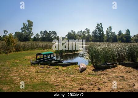 Landschaft und Wasserstraßen von Zasavica, Naturresort, Serbien Stockfoto