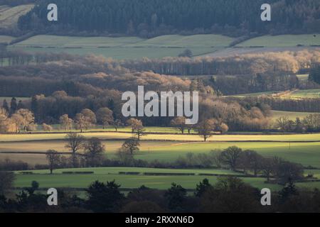 Blick über South Shropshire in Richtung Ludlow von View Edge, Onibury, Shropshire, Großbritannien Stockfoto