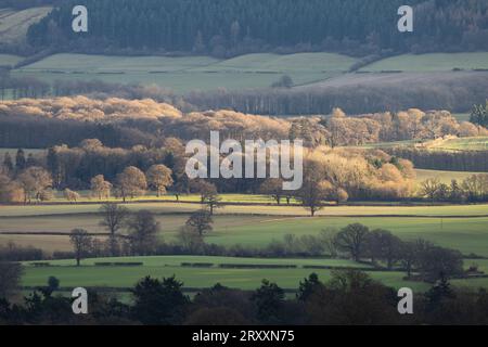 Blick über South Shropshire in Richtung Ludlow von View Edge, Onibury, Shropshire, Großbritannien Stockfoto