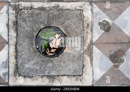 Getrocknetes Blatt in einer Pfütze, Dong Khanh Kaisergrab, Huế, Vietnam Stockfoto