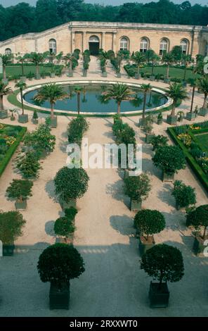 Orangerie von Schloss Versailles, Ile de France, Frankreich, Orangerie von Schloss Versailles, Frankreich, Palmengarten, Schlossgelände Stockfoto