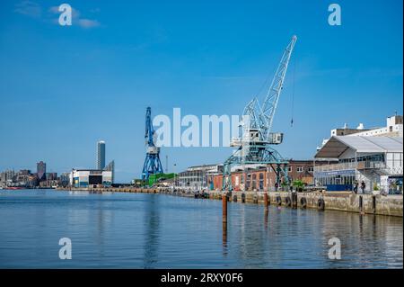 Kraniche im Hafen von Aarhus, Dänemark, mit Meer vor der Küste bei schönem Wetter Stockfoto