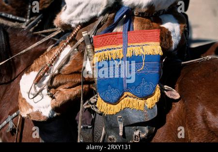 Goldenes Adlerfest, Jagdoutfit mit kazak-Motiv, Provinz Bayan-Olgiy, Mongolei Stockfoto