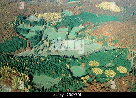 Blick auf Mischwald im Herbst, Nationalpark Kellerwald, Hessen, Blick auf Mischwald im Herbst, Nationalpark Kellerwald, Hessen, Deutschland Stockfoto
