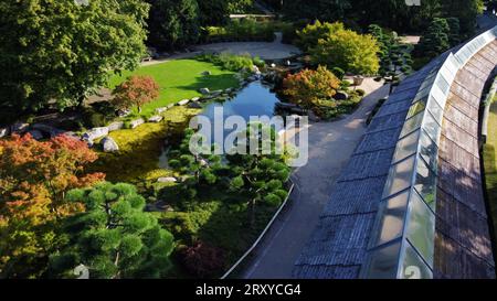 Drohnen-Standpunkt auf japanischen Garten des Botanischen Gartens Planten un Blomen in Hamburg mit Teich und japanischen Ahornbäumen und der Linie der Deckung Stockfoto