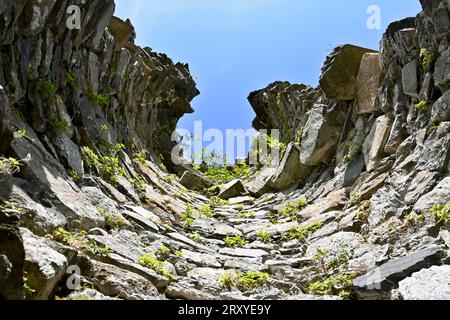 In einer Ruine einer Treppe in Cymer Abbey (Abaty Cymer) in der Nähe von Llanelltyd, Gwynedd, Wales, Großbritannien – 26. September 2023 Stockfoto