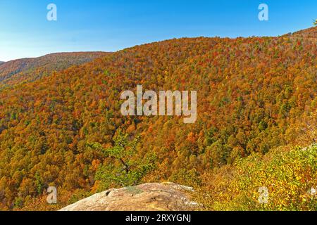 Herbstpanorama in den Blue Ridge Mountains auf dem Blue Ridge Parkway in Virginia Stockfoto