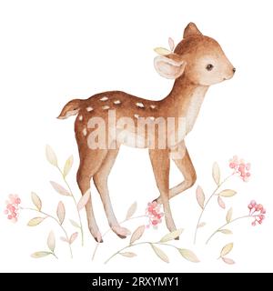 Rotwild Aquarellfarben, Waldtiere, Rotwild, Rote Beeren, Kinderzimmerdrucke, vorgefertigte Komposition, Baby Watercolor Clipart Stockfoto