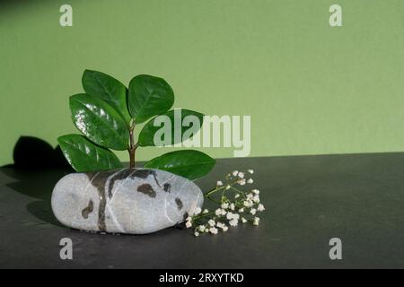 Leeres Minimalprodukt mit einem Stein, Blumen und grünen Blättern, grünem und gelbem Hintergrund Stockfoto