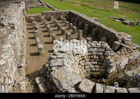 Überreste römischer Bauten am Housesteads Roman Fort (Vercovicium) an der Hadrians Wall. Hexham, England, Großbritannien. Stockfoto