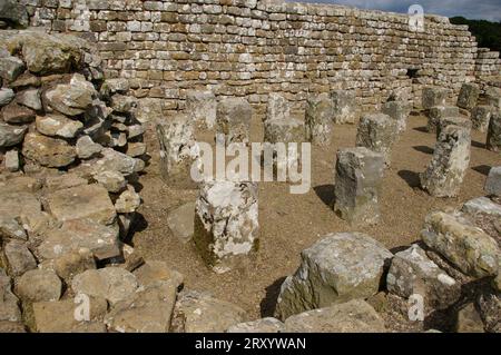 Überreste römischer Bauten am Housesteads Roman Fort (Vercovicium) an der Hadrians Wall. Hexham, England, Großbritannien. Stockfoto