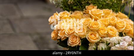 Banner oder orangene Rosen Blumenstrauß Nahaufnahme, Kopierraum Stockfoto