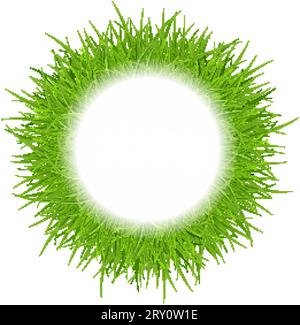 Frühlingsverkauf mit Inschrift mit kreisförmigem Rahmen aus grünem Gras. Etikettenvorlage Für Bio-Lebensmittel. Umweltfreundliches Emblem für Naturprodukte Stock Vektor