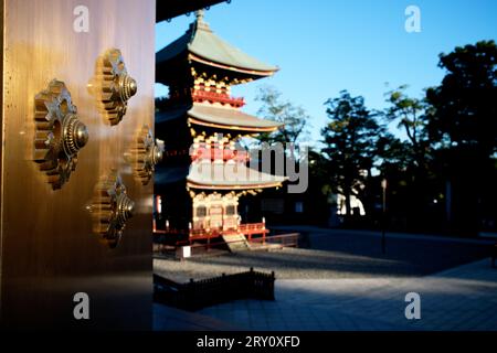 Narita Mountain New Victory Temple Tokio Japan Stockfoto