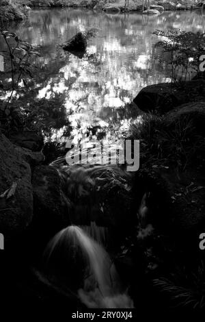 Narita Mountain New Victory Temple Tokio Japan Stockfoto