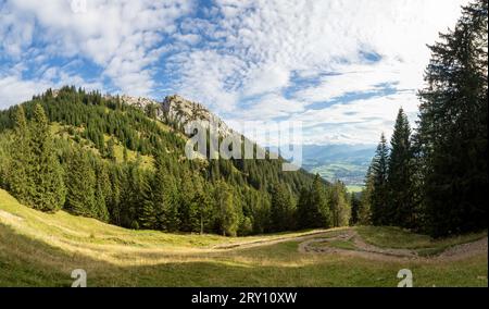 Landschaftlich reizvolle Allgauer Landschaft mit grünen Wiesen und grünen Wäldern im Allgau, Bayern, Deutschland Stockfoto