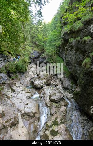 Die Starzlachklamm, eine schöne Schlucht am Fuße der Grunen bei Sonfhofen, Immenstadt im Allgau Stockfoto