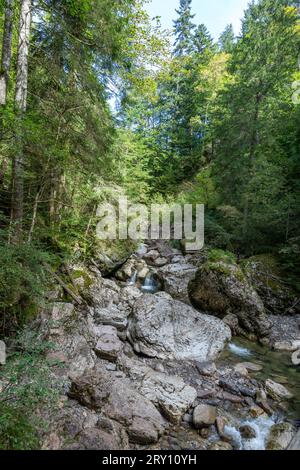 Die Starzlachklamm, eine schöne Schlucht am Fuße der Grunen bei Sonfhofen, Immenstadt im Allgau Stockfoto