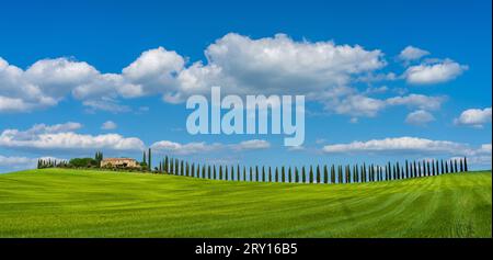 Wunderschöne toskanische Landschaft mit traditionellem Bauernhaus und dramatischen Wolken an einem sonnigen Tag im Val d'Orcia, Italien Stockfoto