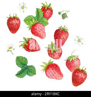 Fallende saftige reife Erdbeeren mit grünen Blättern auf weißem Hintergrund. Aquarellillustration für Werbung für Säfte, Desserts, Gebäck. Stockfoto
