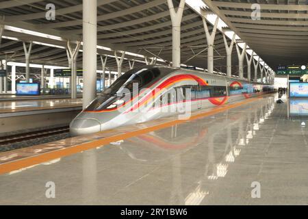 (230928) -- FUZHOU, 28. September 2023 (Xinhua) -- der Fuxing-Hochgeschwindigkeitszug G9801 fährt vom Südbahnhof Fuzhou entlang der Fuzhou-Xiamen-Zhangzhou-Hochgeschwindigkeitsbahn, südöstliche chinesische Provinz Fujian, 28. September 2023. Chinas schnellste Hochgeschwindigkeitsstrecke für den Seeverkehr nahm am Donnerstag den Betrieb auf, wobei die Züge mit einer Höchstgeschwindigkeit von 350 km/h entlang der Westküste der Straße von Taiwan verkehrten. Ein Fuxing-Hochgeschwindigkeitszug G9801 fuhr um 9:15 Uhr von Fuzhou, der Hauptstadt der südöstlichen chinesischen Provinz Fujian, ab und feierte die Eröffnung der 277 km langen Hochgeschwindigkeitsbahn Fuzhou-Xiamen-Zhangzhou. Das gehört China Stockfoto