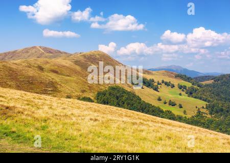 Landschaft mit grasbewachsenen Wiesen des krasna-Berges. Entfernte Bergkette unter einem Himmel mit Wolken. Wunderschöne Landschaft der karpatischen Natur an einem sonnigen Tag Stockfoto