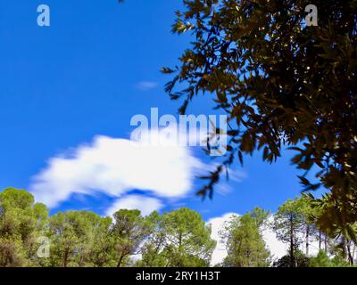 Leuchtend lange Exposition der grünen Bäume von Roussillon: Motion Blur Sky über Luberon, Provence, Vaucluse, Frankreich, fängt die natürliche Schönheit und bunt ein Stockfoto