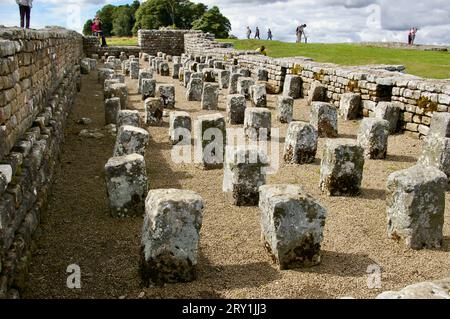 Überreste römischer Bauten am Housesteads Roman Fort (Vercovicium) an der Hadrians Wall. Hexham, England, Großbritannien. Stockfoto