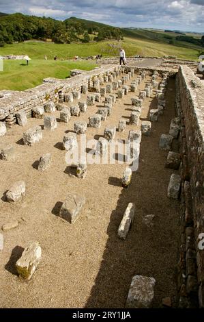 Überreste römischer Bauten am Housesteads Roman Fort (Vercovicium) an der Hadrians Wall. Hexham, England, Großbritannien. Stockfoto