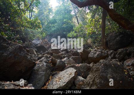 Eine Wanderung in das Vogelschutzgebiet Karnala Stockfoto