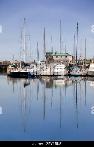Frankreich, Manche (50) Cherbourg-en-Cotentin, Stockfoto