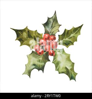 Aquarellillustration holly. Handbemalter stechpalmenzweig mit roter Beere, Vektor. Botanische Clip-Art zu Weihnachten für Design, Dekor oder Druck Stock Vektor