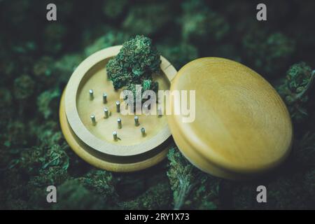 Nahaufnahme der Hanfblüte in einem Schleifer. CBD Stockfoto