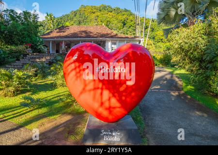 Jardins de la Balata in Fort-de-France, Martinique. Exotische Gärten der französischen Westindien. Stockfoto