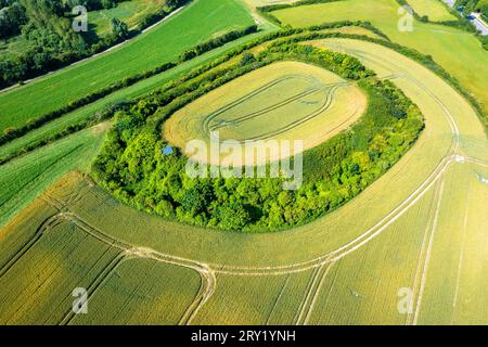 Frankreich, Hauts de France, Pas-de-Calais, Opalküste. Wissant, Felder und Rundkäfig Stockfoto