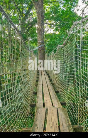 Jardins de la Balata in Fort-de-France, Martinique. Exotische Gärten der französischen Westindien. Stockfoto