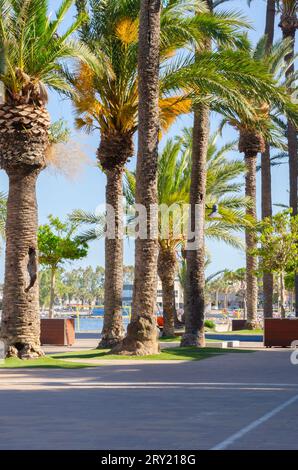 SANTIAGO DE LA RIBERA, SPANIEN - 10. JUNI 2022 wunderschöne Promenade in der Küstenstadt Santiago de la Ribera in der Provinz Murcia Stockfoto