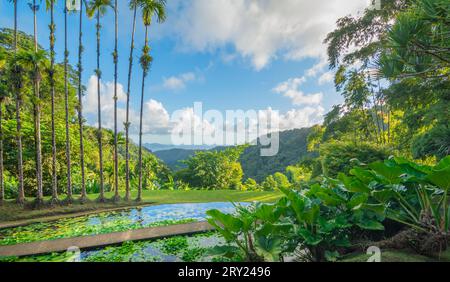 Jardins de la Balata in Fort-de-France, Martinique. Exotische Gärten der französischen Westindien. Stockfoto