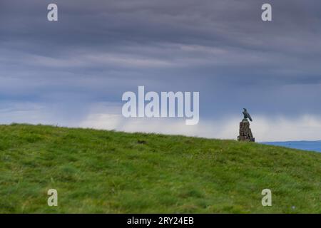 Das Fliegerdenkmal auf der Wasserkuppe bei Gersfeld Landkreis Fulda im Biosphärenreservat Rhön in der Rhön in Hessen. Mit 950 Meter Höhe ist die Wasserkuppe der höchsten Berg der Rhön. *** Das Flugdenkmal auf der Wasserkuppe bei Fulda Gersfeld im Biosphärenreservat Rhön in der hessischen Rhön mit einer Höhe von 950 Metern ist die Wasserkuppe der höchste Berg der Rhön Stockfoto