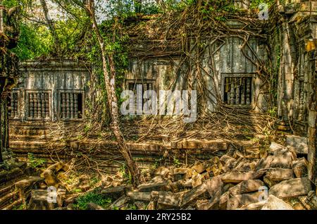 Riesige Wurzeln umhüllen nicht ausgegrabene Ruinen in Beng Mealea, Provinz Siem Reap, Kambodscha. © Kraig Lieb Stockfoto