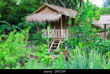 Schöne Holzhütte in einem grünen Garten. Blumen und Baum vor einer Holzhütte. Entspannen Sie im Garten und genießen Sie das schöne Wetter. Stockfoto