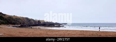 Ein grauer und wunderschöner Marschnachmittag in Coldingham Sands, und ein Mann geht mit seinem Hund und einem Pferd in der Brandung der Nordsee spazieren Stockfoto