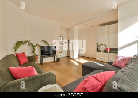 Komfortable Sofas mit Fernseher und Zimmerpflanzen in einem geräumigen Wohnzimmer mit weißen Wänden in einem modernen Apartment Stockfoto