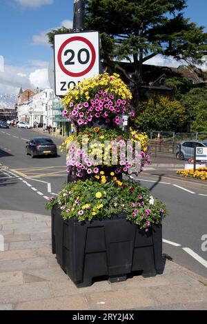 20 mph Geschwindigkeitsbegrenzungsschild neben atemberaubenden öffentlichen Blumendisplays, die Stratford in Bloom feiern und von Plantscape inspiriert sind, in der Öffentlichkeit zu sehen Stockfoto