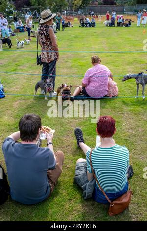 Die Einheimischen und ihre Haustiere nehmen an Einer traditionellen Hundeshow Teil, Hartfield Village Fete, Hartfield, East Sussex, Großbritannien. Stockfoto