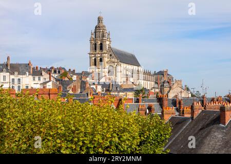 Die Kathedrale Saint Louis in Blois, Frankreich Stockfoto